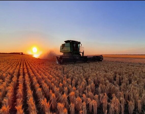 High Quality Harvesting Machine