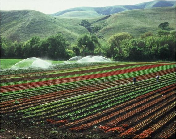 Land Management Services