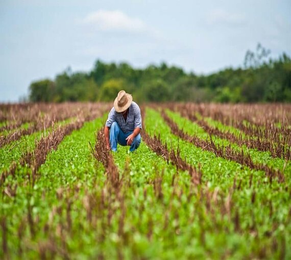 Farmland Management Services