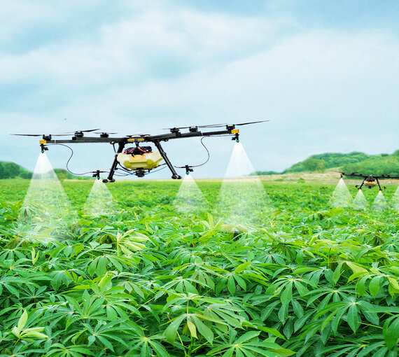 Drone Spray Service