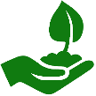 Plants Safety