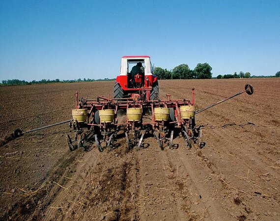 Seed Sowing Experts